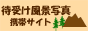 �g�уT�C�g�@�Ҏ󂯕��i�ʐ^�̕���