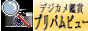 �f�W�J���ӏ܁@�v���o���r���[�P