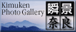 Kimuken Photo Gallery �u�i�ޗ�