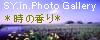 �`�����̍��聖�` �ǎ� �ʐ^�M�������[