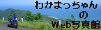 ���]�[�g�{��@�킩�܂������̂v�����ʐ^��
