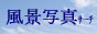 ���i�ʐ^�T�[�`�@�p�m���}���i�ʐ^�ƕǎ�