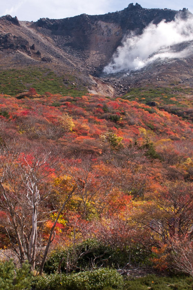那須岳の紅葉のスマートフォン用待受け(壁紙)　画像サイズ640×960  iPhoneスマホ向け