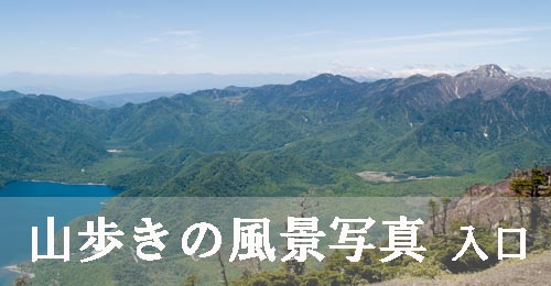 �R�����E��R�����̕��i�ʐ^