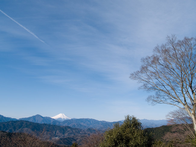 高尾山から富士山の眺め