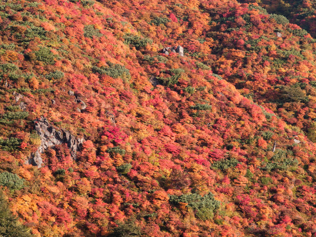 朝日岳の紅葉