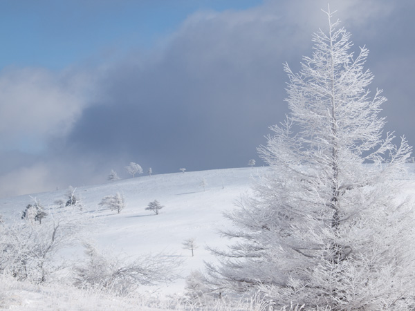長野県　美ヶ原・焼山の雪景色、霧氷の景色