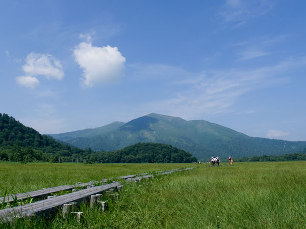 夏の尾瀬ヶ原　至仏山と湿原の風景写真