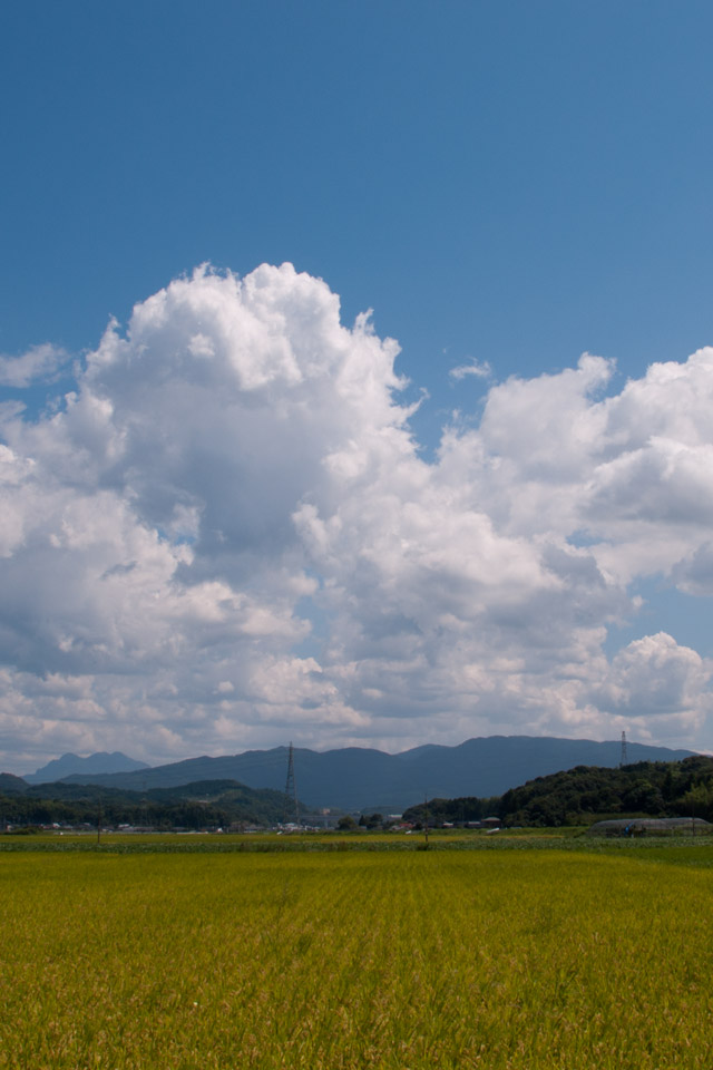 夏の雲 田園風景と入道雲 スマートフォン用 待受け 壁紙 640 960 Iphone向け