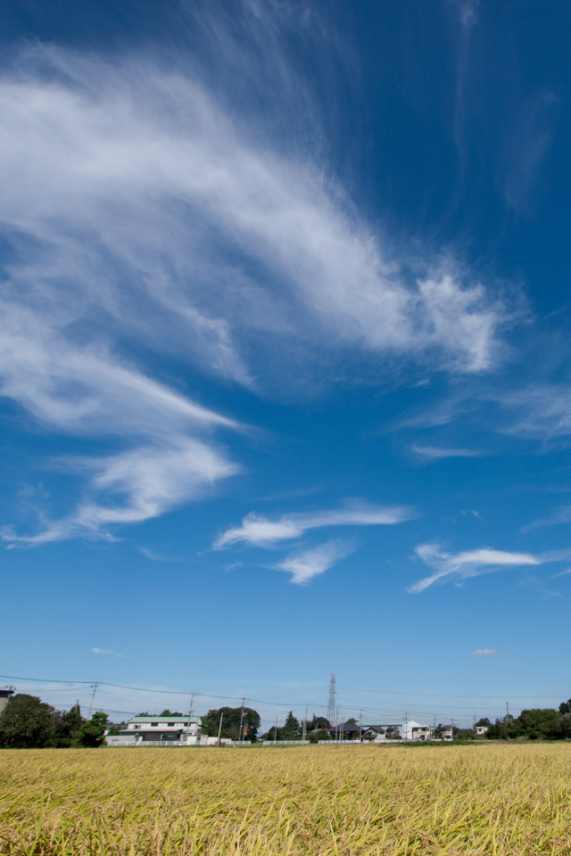 秋の景色 田園と秋の空 スマートフォン用 待受け 壁紙 640 960 Iphone向け