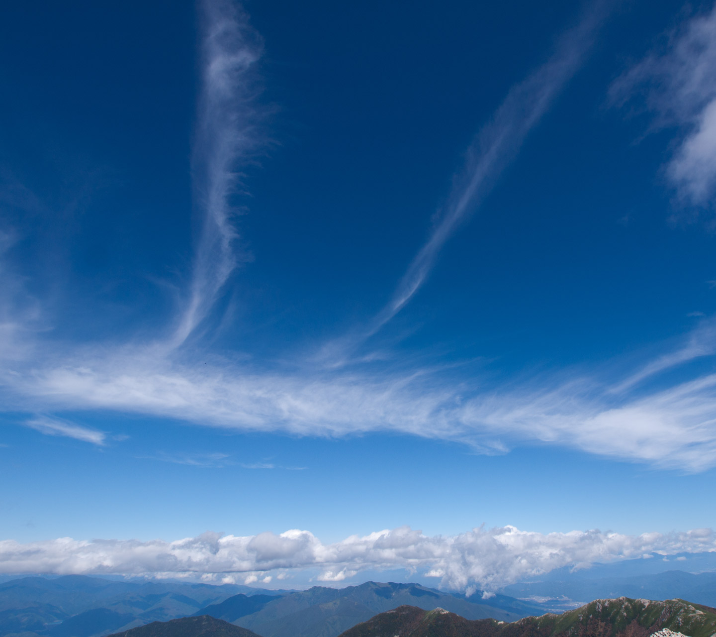 秋の空 秋の雲 スマートフォン用 待受け 壁紙 1440 1280 Android向け