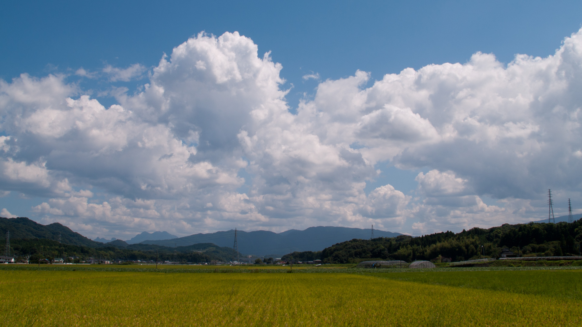 ワイド画面 19 1080 のデスクトップ壁紙 夏の雲 田園風景の入道雲