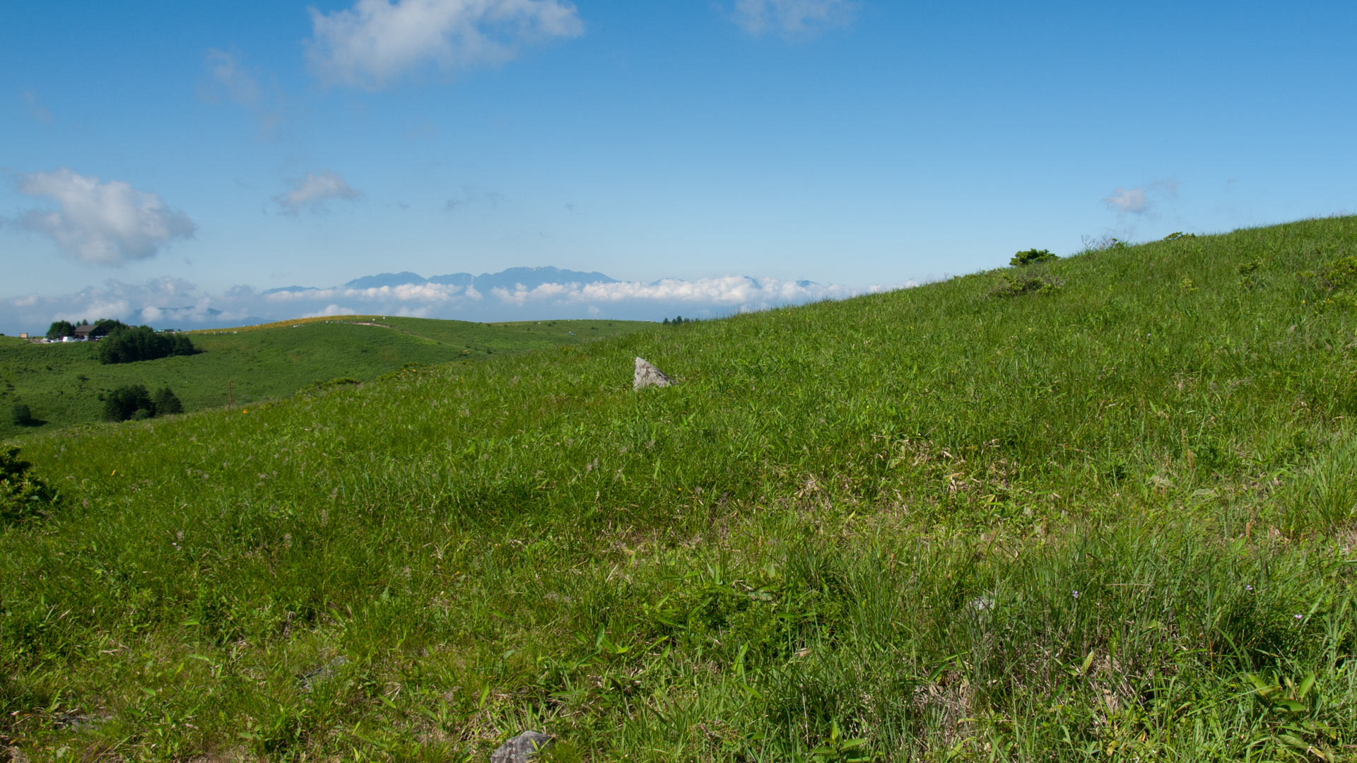 ワイド画面 19 1080 のデスクトップ壁紙 長野県 霧ヶ峰高原 緑の草原