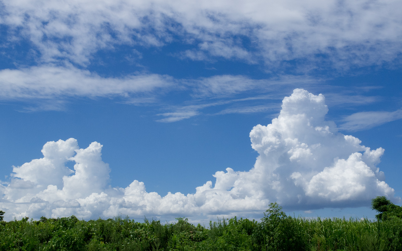 夏の風物詩 青空に入道雲 積乱雲 のデスクトップ壁紙 ワイド画面 1280 800