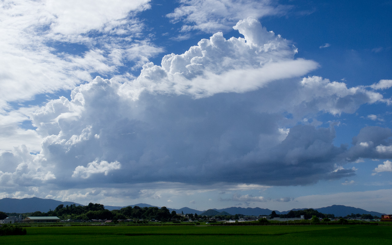 夏の景色 田園と入道雲 積乱雲 のデスクトップ壁紙 ワイド画面 1280 800